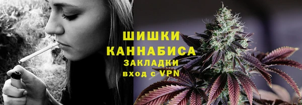 ГАЛЛЮЦИНОГЕННЫЕ ГРИБЫ Алексин
