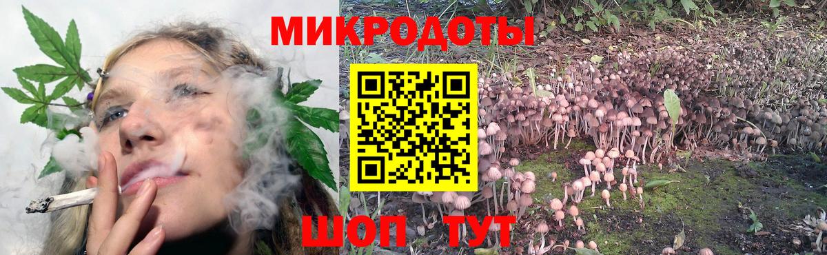 Псилоцибиновые грибы прущие грибы Раменское